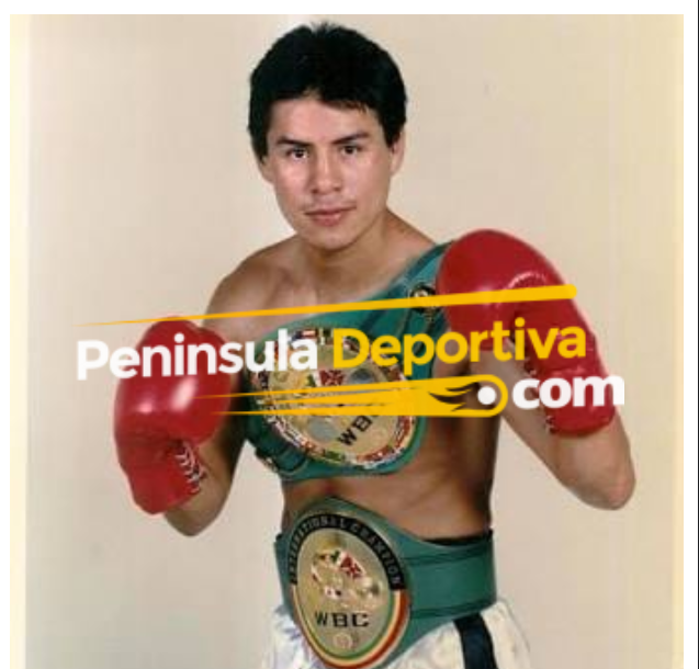 Sintético 105+ Foto miguel angel gonzalez boxeador mexicano El último