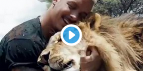 Abrazando a un león