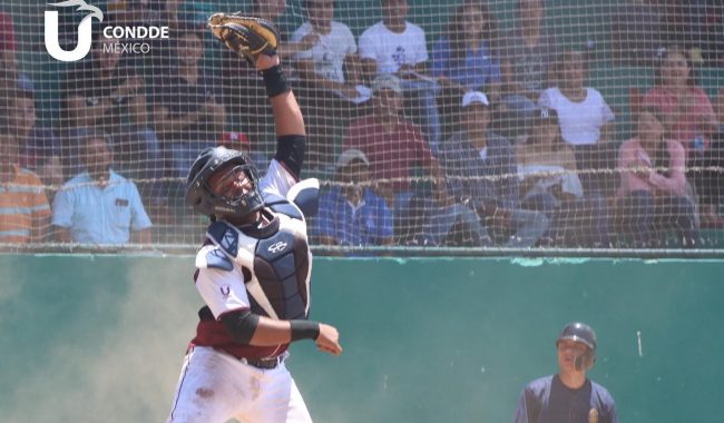 foto robo en home de daniel gómez, ganadora certamen nacional de fotografía auspiciado por el condde y otro continental en septiembre de 2020 (2)