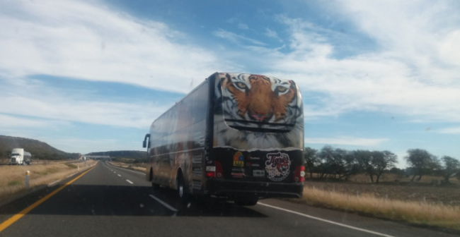 Tigres de Quintana Roo camión en la carretera