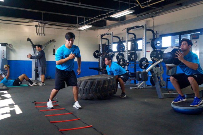 Leones de Yucatán, prospectos entrenando en Academia del Pacífico diciembre 2020
