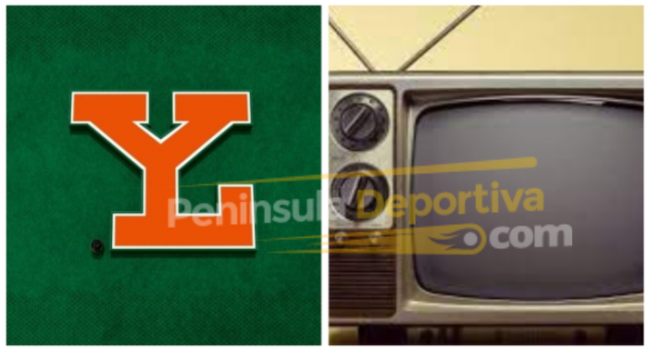 fotocomposición logo leones de Yucatán con televisión