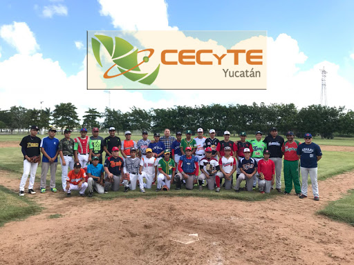 logo cecytey yucatán cecytey