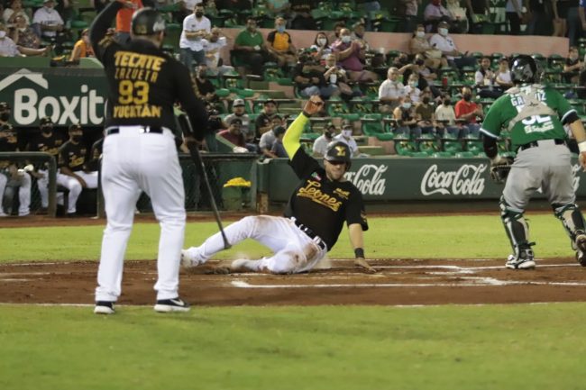 Leones conasupo