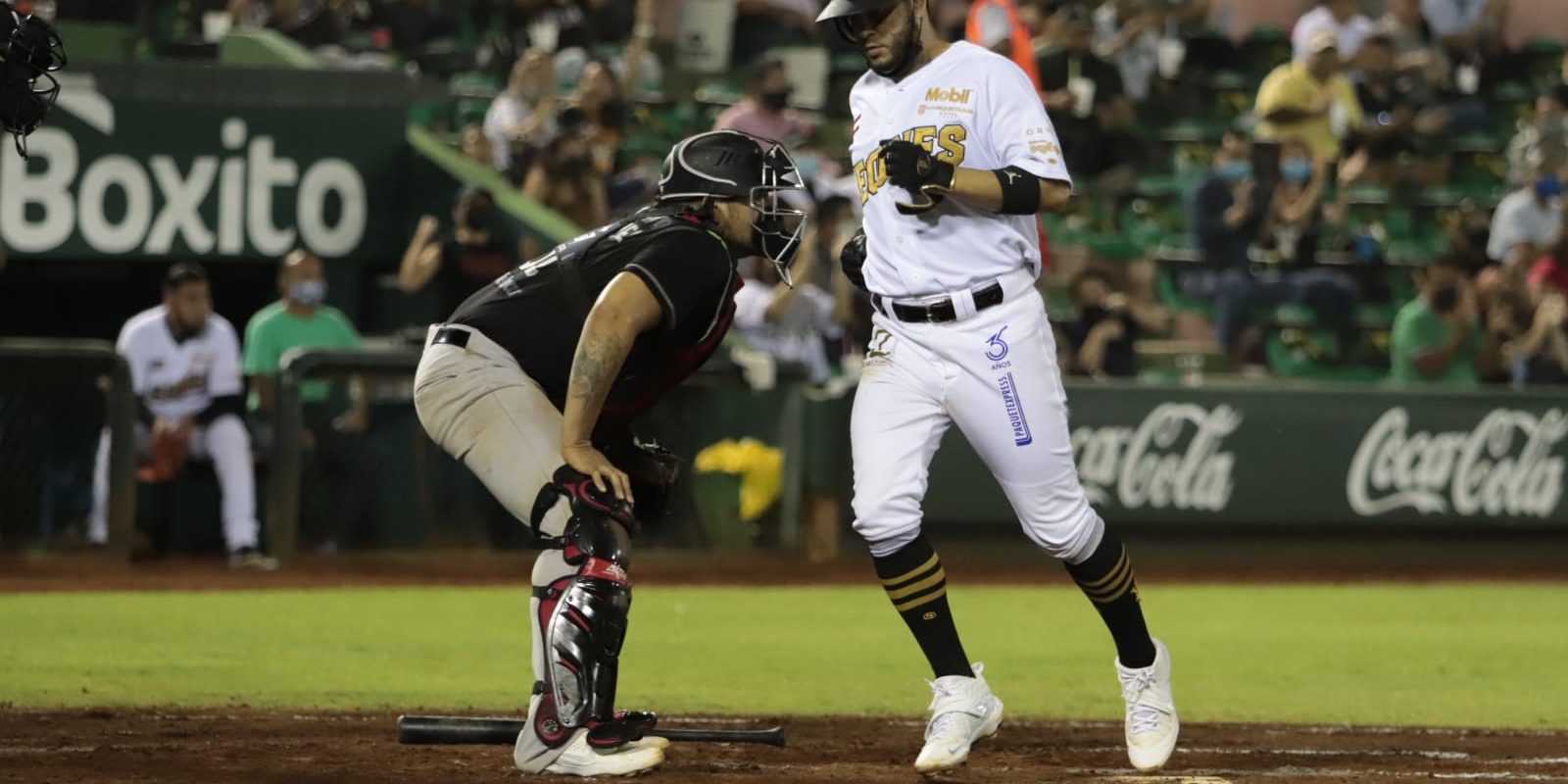 Leones conasupo