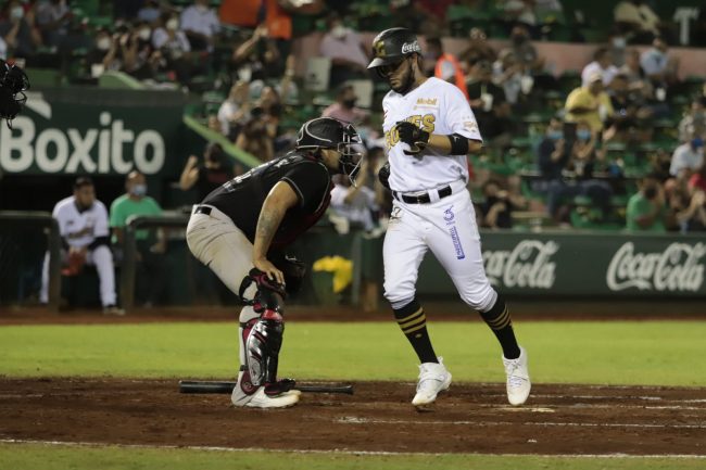 Leones conasupo