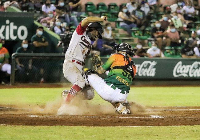 Leones conasupo