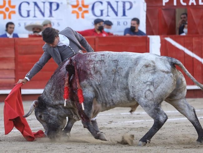 Michelito Lagravere toreando en León, Guanajuato, donde oyó palmas y aviso del 010521 Michelito