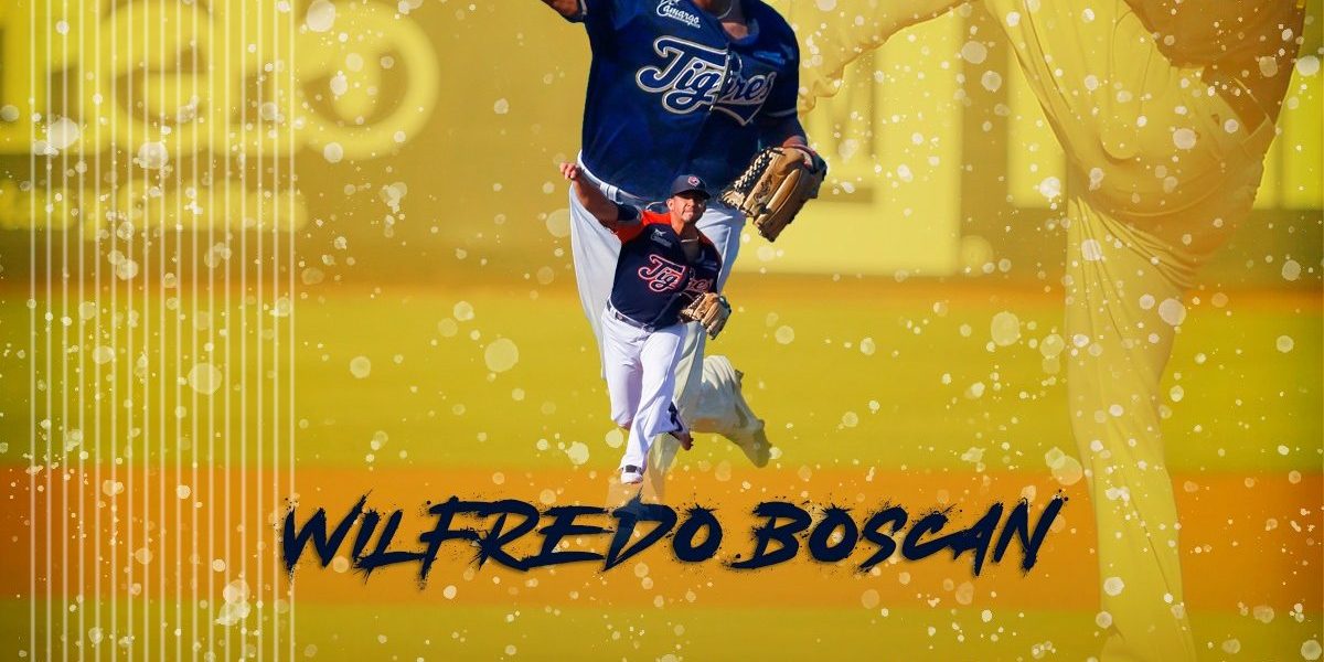 Wilfredo Boscán fotocomposición retorno a los Tigres anunciado el 240321