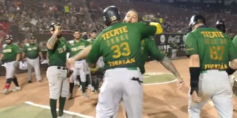 leones toros serie del rey conasupo