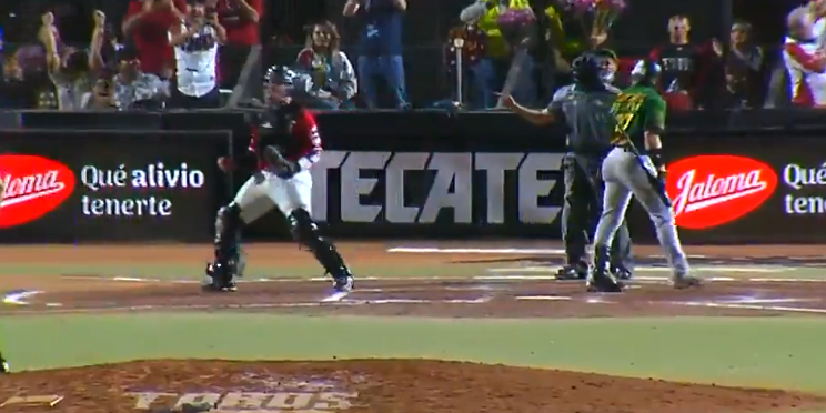 toros leones conasupo