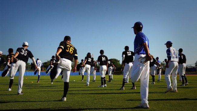 Academia de Béisbol de Mazatlán incidental