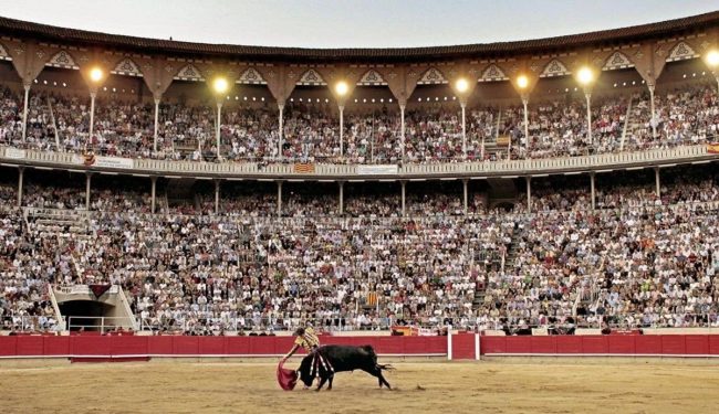 tauromaquia