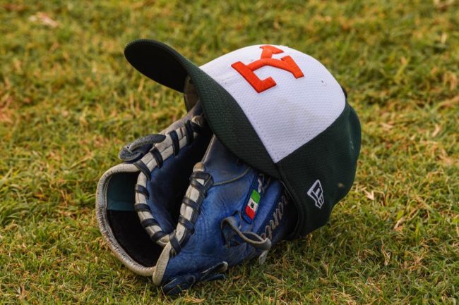Leones gorra y guante