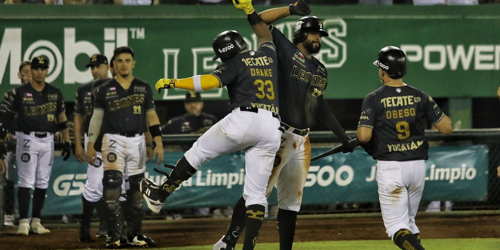 Leones de Yucatán vs. Águila de Veracruz, juego 48, 3o de la serie, serie para los Leones, 12×1, 10 del 160622 en Mérida, Art Charles