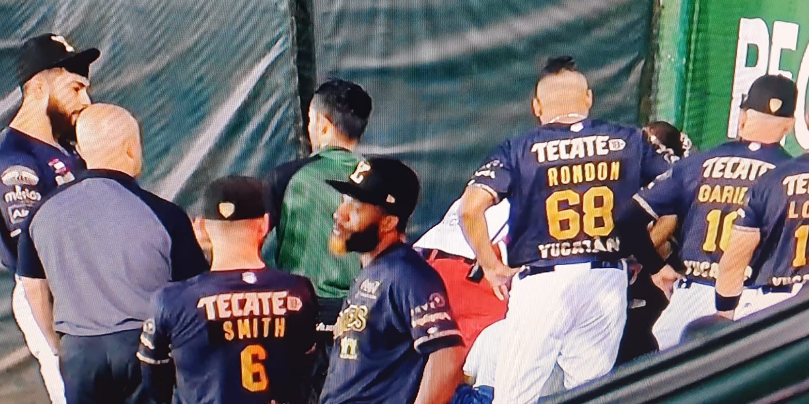 Leones de Yucatán vs. Águila de Veracruz, juego 48, 3o de la serie, serie para los Leones, 12×1, del 160622 en Mérida, cátcher sustituto se sintió mal, durante el juego