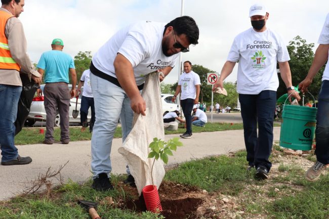 Luis Felipe Pepón Juárez, cruzada forestal del 090622 en Ciudad Caucel