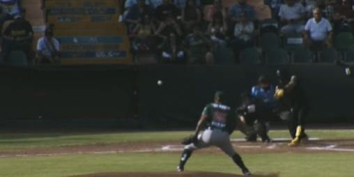pericos leones conasupo