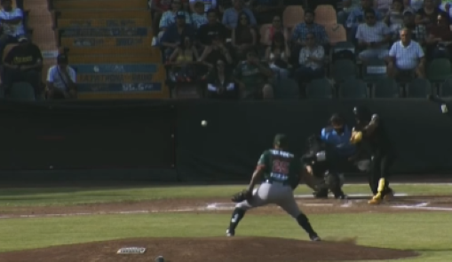 pericos leones conasupo
