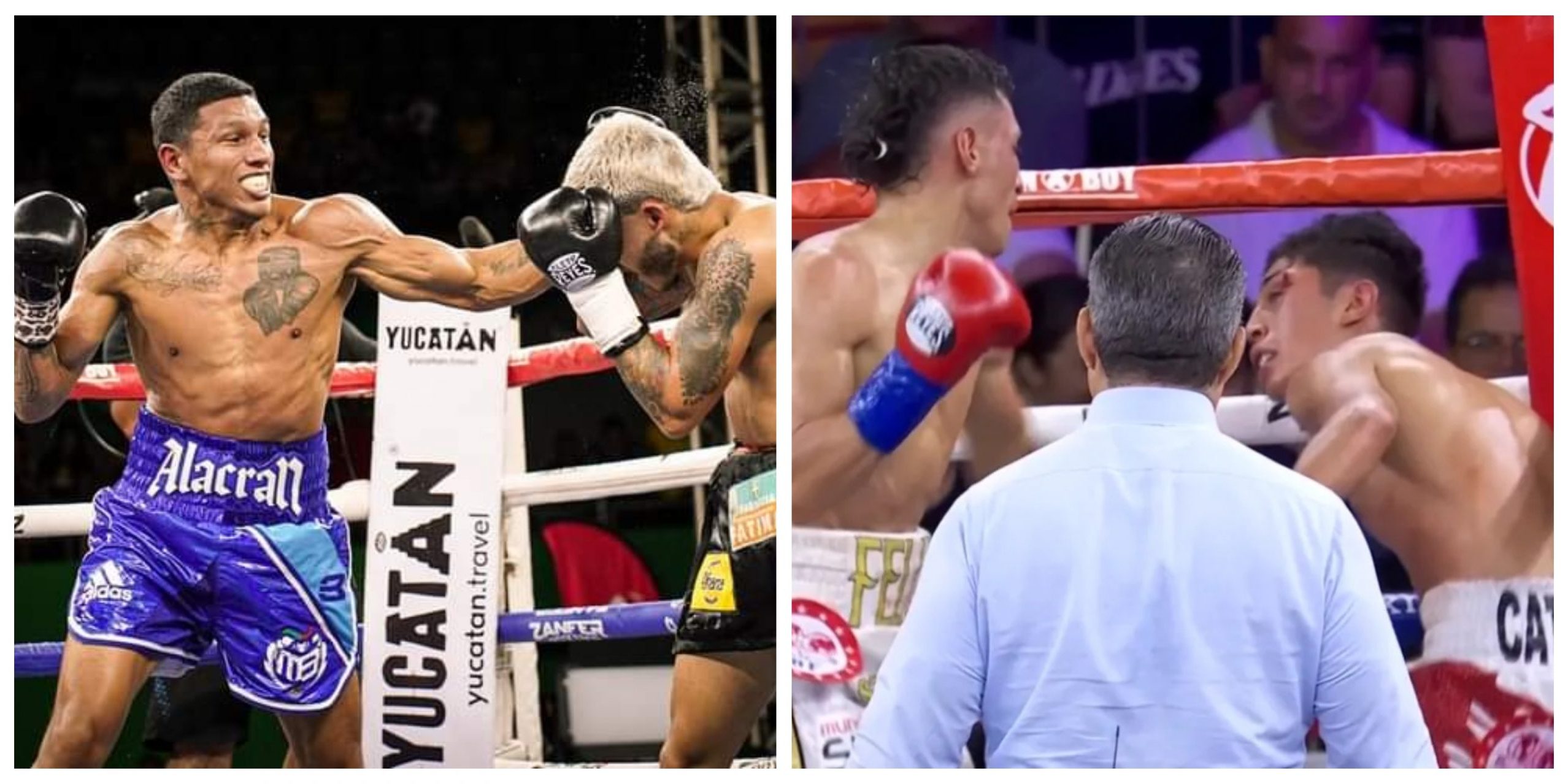 fotocomposición berchelt alvarado