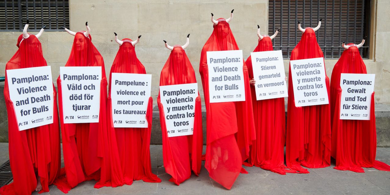 foto antitaurinos en españa