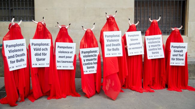 foto antitaurinos en españa