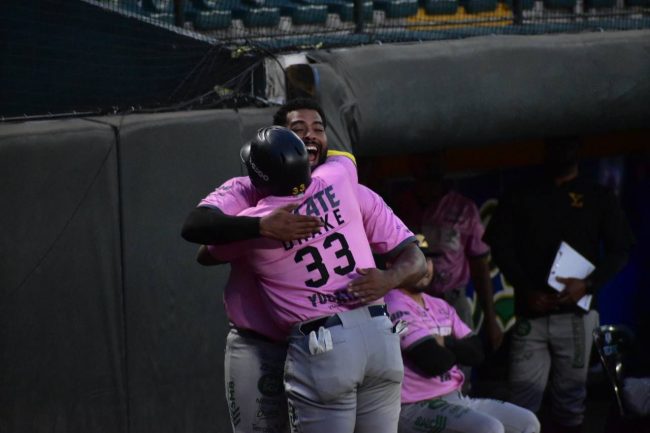 Leones de Yucatán vs. Pericos de Puebla, juego 57, 2o de la serie, 2o de la doble cartelera, serie empatada, 9×2, del 260624 en Puebla, Art Charles, 2 jonrones y Yadir Drake