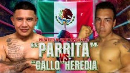 cartel Adrián Parra vs. Gallo Heredia, del 070924 en Chetumal redimensionado