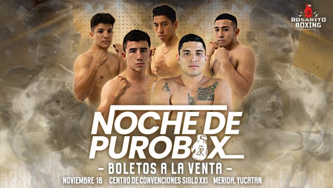 cartel rosarito boxing, para el 161124 debut en Centro de Convenciones Yucatán Slglo XXI