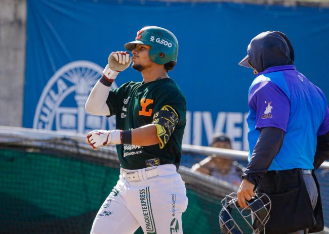 Leones conasupo