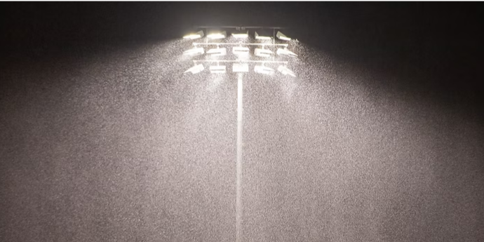 Piratas de Campeche vs. Pericos de Puebla, 6o juego primer play off, ventaja Piratas, 2×0, pospuesto en a 4a entrada por lluvia, del 170825 en Campeche